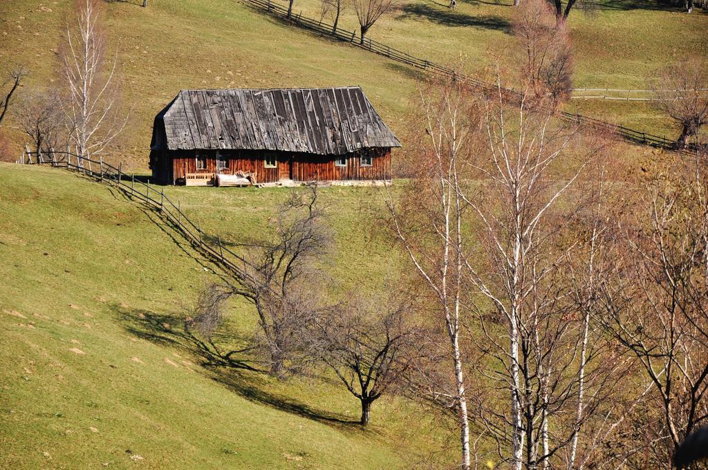 فندق Samedru Măgura المظهر الخارجي الصورة