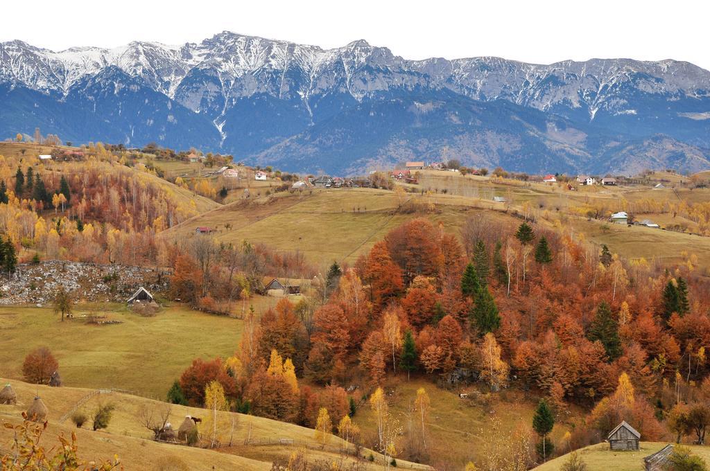 فندق Samedru Măgura المظهر الخارجي الصورة